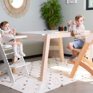 trona evolutiva Evosit